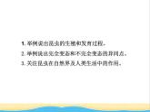 八年级生物下册第七单元生物圈中生命的延续和发展第一章生物的生殖和发育第二节昆虫的生殖和发育教学课件新人教版