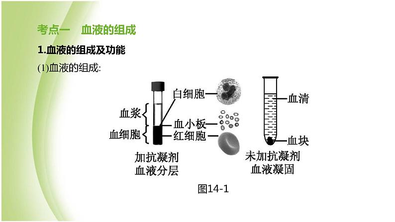 新课标中考生物复习第四单元生物圈中的人第14课时血液血管和血型输血课件新人教版第2页