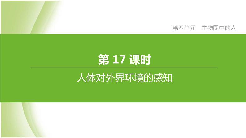 新课标中考生物复习第四单元生物圈中的人第17课时人体对外界环境的感知课件新人教版第1页