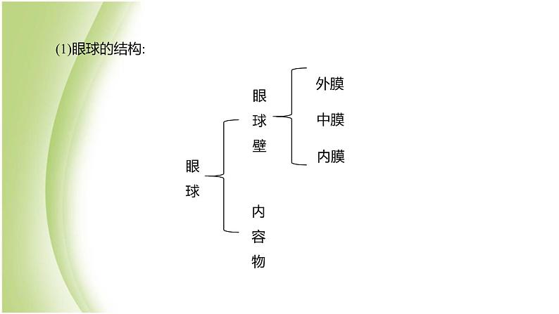 新课标中考生物复习第四单元生物圈中的人第17课时人体对外界环境的感知课件新人教版第3页