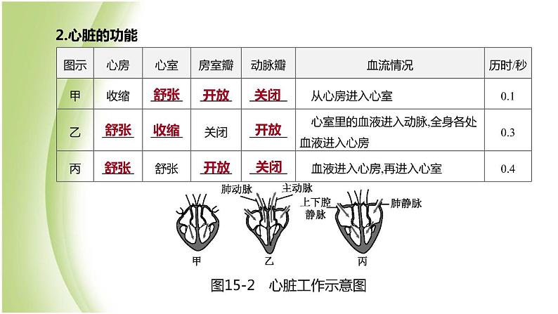 新课标中考生物复习第四单元生物圈中的人第15课时心脏与血液循环课件新人教版第5页