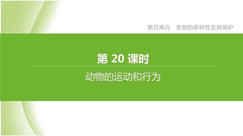 新课标中考生物复习第五单元生物的多样性及其保护第20课时动物的运动和行为课件新人教版第1页