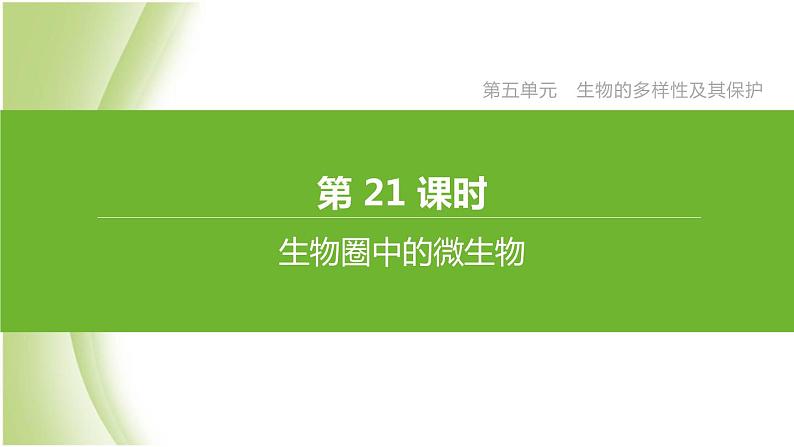 新课标中考生物复习第五单元生物的多样性及其保护第21课时生物圈中的微生物课件新人教版第1页