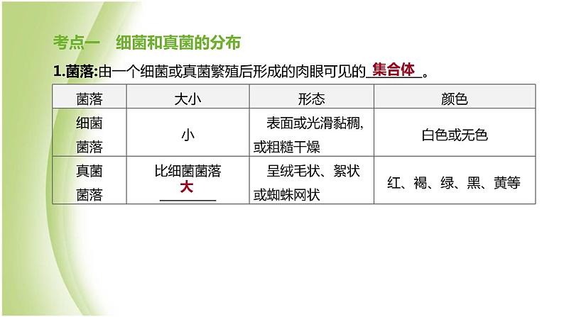 新课标中考生物复习第五单元生物的多样性及其保护第21课时生物圈中的微生物课件新人教版第2页