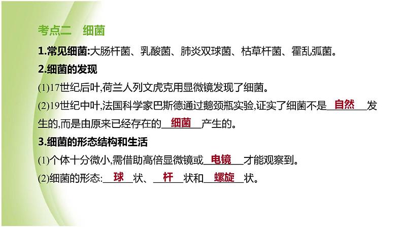 新课标中考生物复习第五单元生物的多样性及其保护第21课时生物圈中的微生物课件新人教版第4页