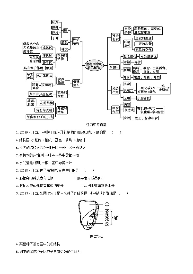 江西专版中考生物复习专题复习04生物圈中的绿色植物试题02