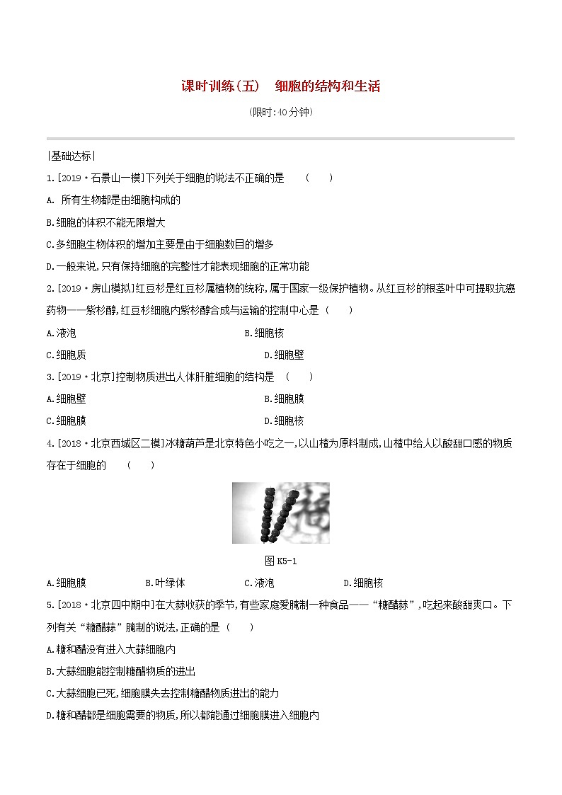 北京专版中考生物复习主题三生物体的结构层次课时训练05细胞的结构和生活试题第1页