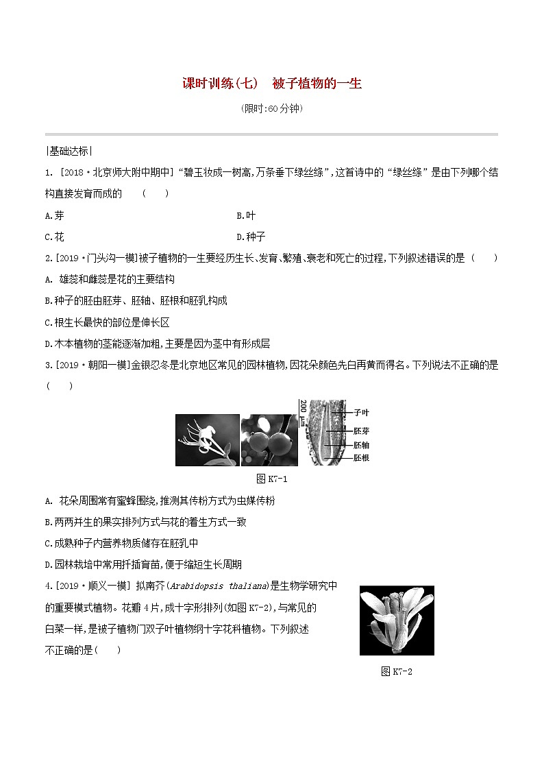 北京专版中考生物复习主题四生物圈中的绿色植物课时训练07被子植物的一生试题第1页