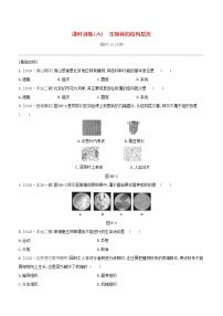 北京专版中考生物复习主题三生物体的结构层次课时训练06生物体的结构层次试题