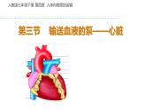 人教版七年级生物下册----4.4.3 输送血液的泵——心脏课件PPT