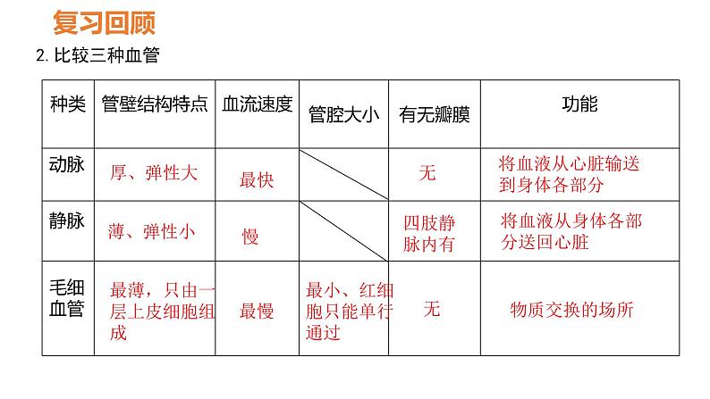 人教版七年级生物下册----4.4.3 输送血液的泵——心脏课件PPT第3页