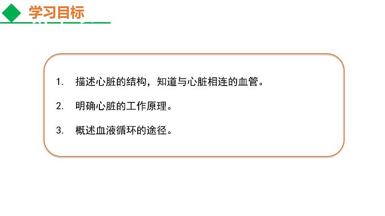 人教版七年级生物下册----4.4.3 输送血液的泵——心脏课件PPT第6页