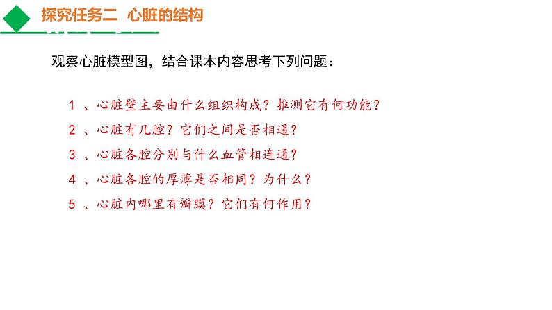 人教版七年级生物下册----4.4.3 输送血液的泵——心脏课件PPT08