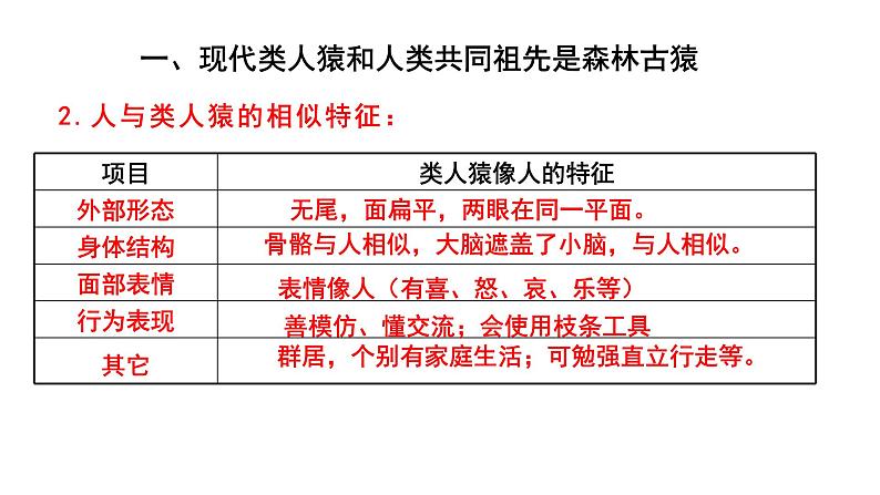 人教版七年级生物下册----4.1.1人类的起源和发展课件PPT第7页