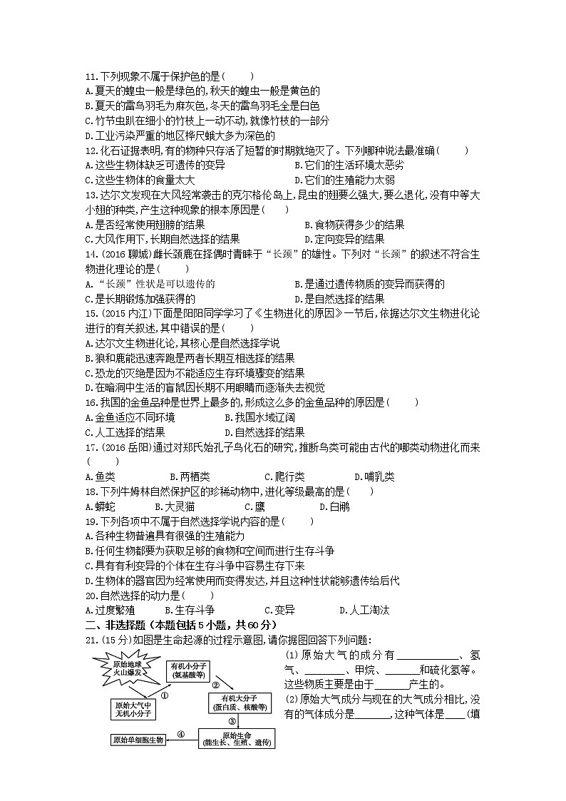 八年级生物下册第七单元生物圈中生命的延续和发展第三章生命起源和生物进化检测卷新人教版第2页