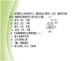 七年級生物下冊周周清3作業(yè)課件新人教版
