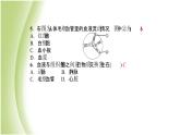 七年級生物下冊周周清5作業(yè)課件新人教版