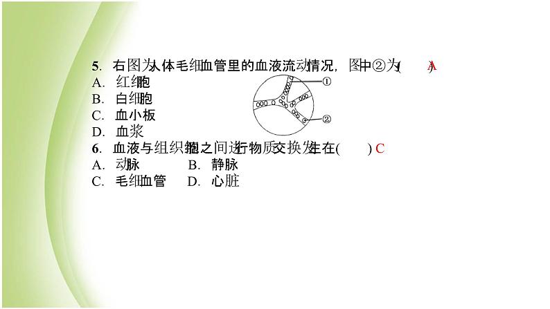 七年级生物下册周周清5作业课件新人教版第4页