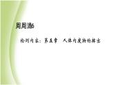 七年級生物下冊周周清6作業(yè)課件新人教版