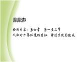 七年級生物下冊周周清7作業(yè)課件新人教版