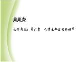 七年級生物下冊周周清8作業(yè)課件新人教版