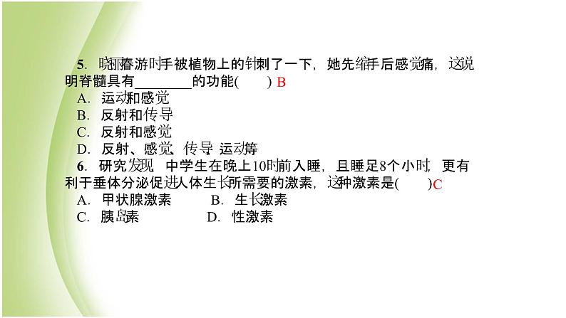 七年级生物下册周周清8作业课件新人教版第4页