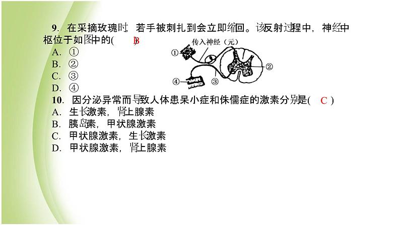 七年级生物下册周周清8作业课件新人教版第6页