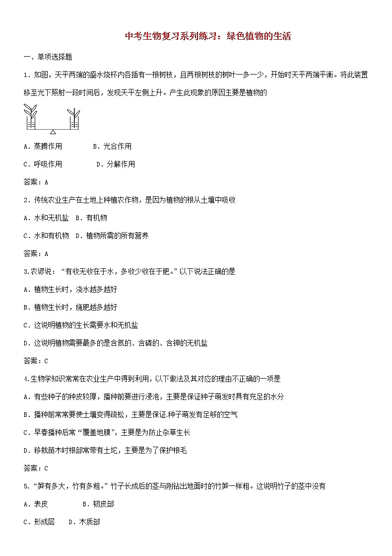 中考生物复习系列练习绿色植物的生活第1页