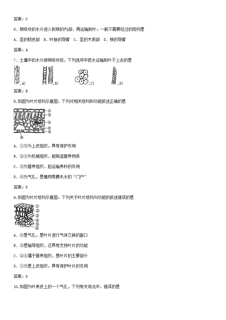 中考生物复习系列练习绿色植物的生活第2页