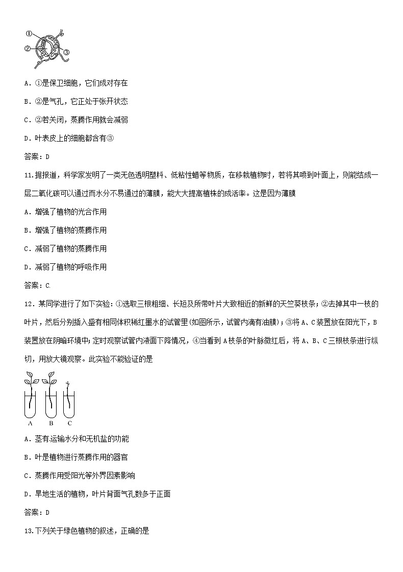 中考生物复习系列练习绿色植物的生活第3页