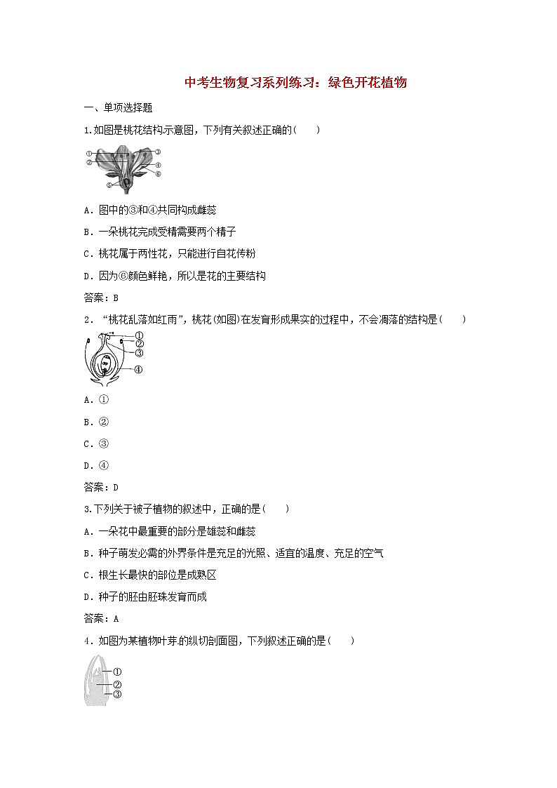 中考生物复习系列练习绿色开花植物第1页