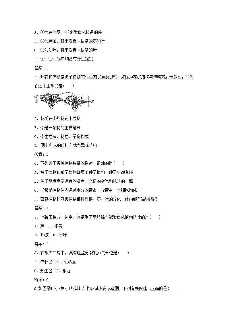 中考生物复习系列练习绿色开花植物第2页