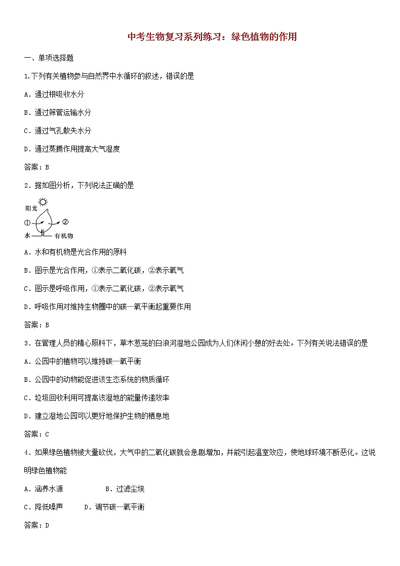 中考生物复习系列练习绿色植物的作用01