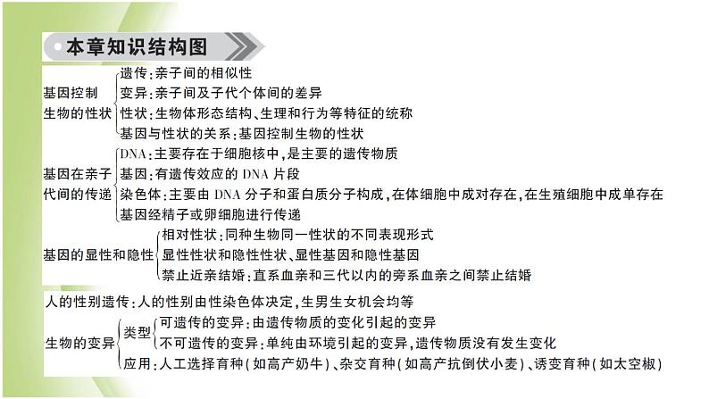 八年级生物下册第七单元生物圈中生命的延续和发展第二章生物的遗传和变异总结训练作业课件新人教版02