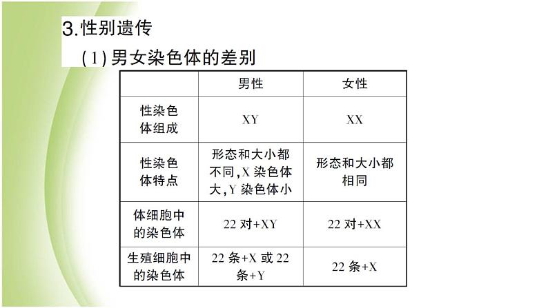 八年级生物下册第七单元生物圈中生命的延续和发展第二章生物的遗传和变异总结训练作业课件新人教版07