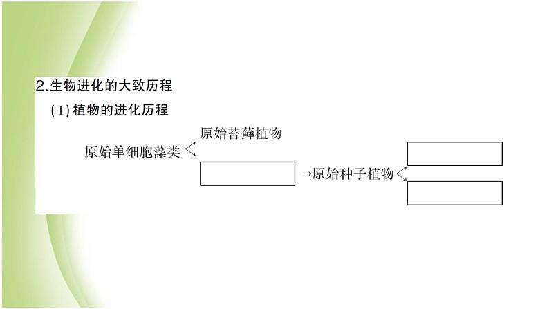 八年级生物下册第七单元生物圈中生命的延续和发展第三章生命的起源和生物进化第二节生物进化的历程作业课件新人教版04