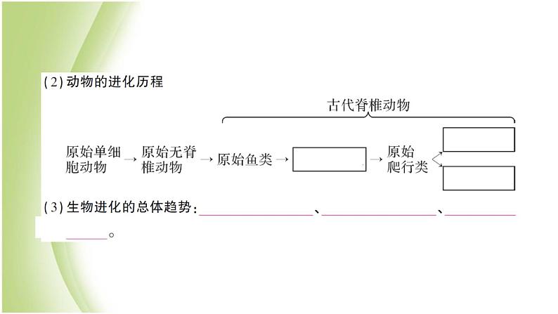 八年级生物下册第七单元生物圈中生命的延续和发展第三章生命的起源和生物进化第二节生物进化的历程作业课件新人教版05