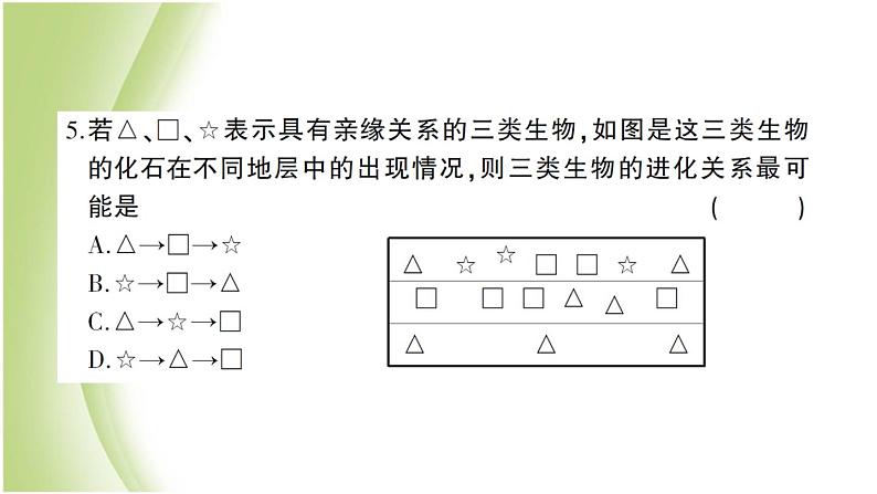 八年级生物下册第七单元生物圈中生命的延续和发展第三章生命起源和生物进化检测卷作业课件新人教版05