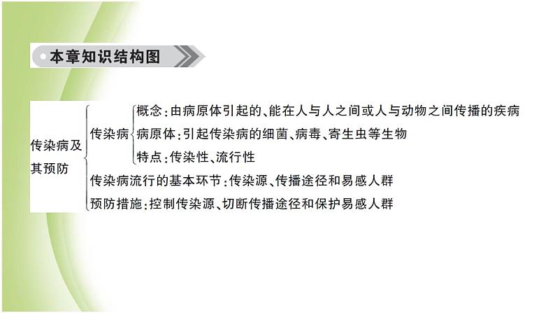 八年级生物下册第八单元健康生活第一章传染病和免疫总结训练作业课件新人教版02