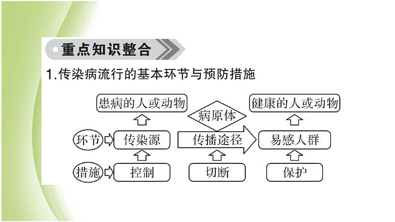 八年级生物下册第八单元健康生活第一章传染病和免疫总结训练作业课件新人教版05