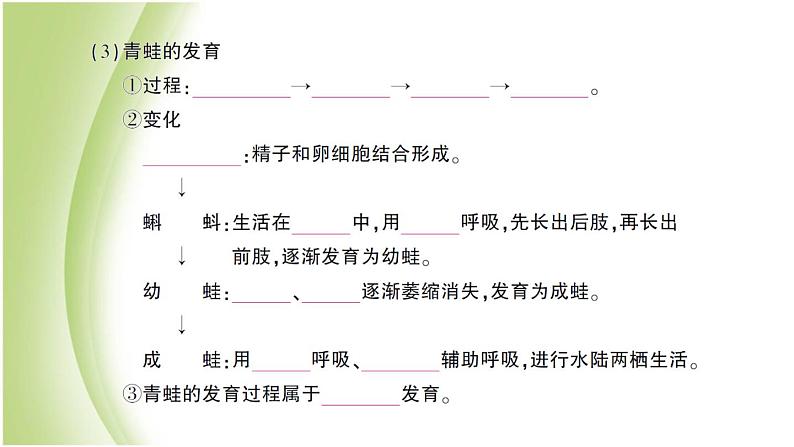 八年级生物下册第七单元生物圈中生命的延续和发展第一章生物的生殖和发育第三节两栖动物的生殖和发育作业课件新人教版03