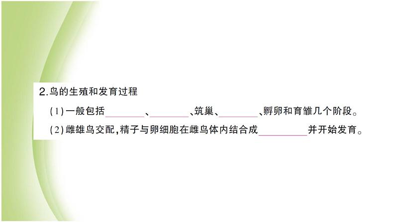 八年级生物下册第七单元生物圈中生命的延续和发展第一章生物的生殖和发育第四节鸟的生殖和发育作业课件新人教版第4页