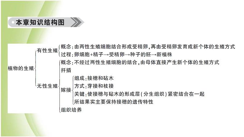 八年级生物下册第七单元生物圈中生命的延续和发展第一章生物的生殖和发育总结训练作业课件新人教版第2页