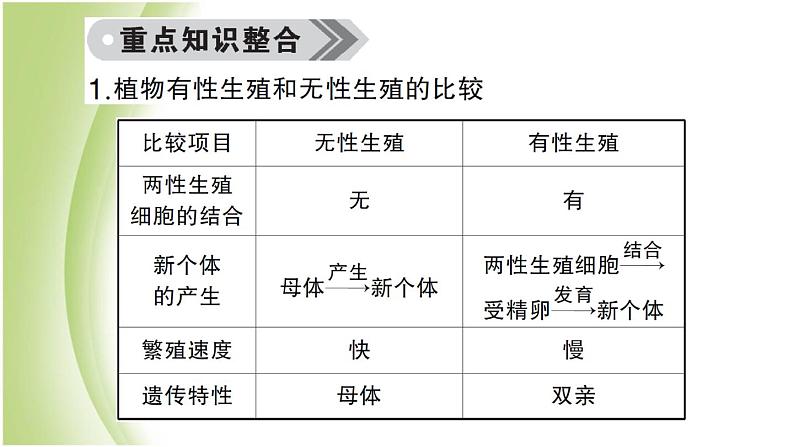 八年级生物下册第七单元生物圈中生命的延续和发展第一章生物的生殖和发育总结训练作业课件新人教版第5页