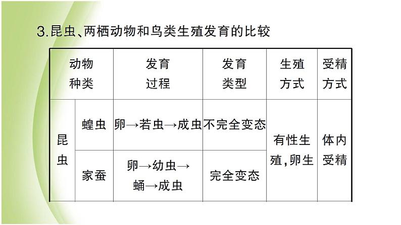 八年级生物下册第七单元生物圈中生命的延续和发展第一章生物的生殖和发育总结训练作业课件新人教版第7页