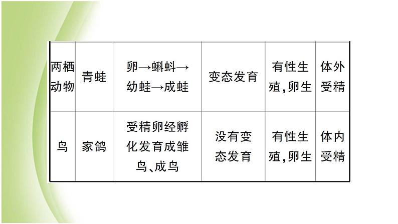 八年级生物下册第七单元生物圈中生命的延续和发展第一章生物的生殖和发育总结训练作业课件新人教版第8页