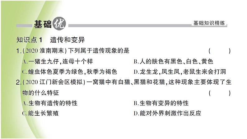 八年级生物下册第七单元生物圈中生命的延续和发展第二章生物的遗传和变异第一节基因控制生物的性状作业课件新人教版05