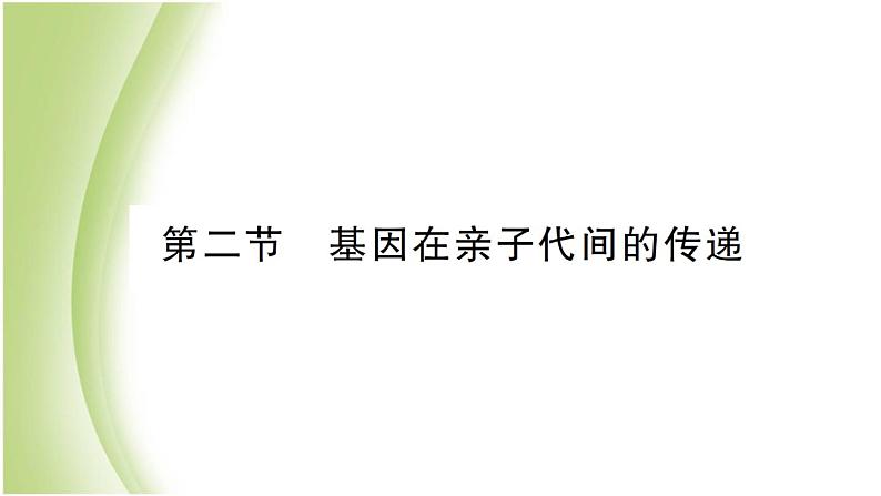 八年级生物下册第七单元生物圈中生命的延续和发展第二章生物的遗传和变异第二节基因在亲子代间的传递作业课件新人教版第1页