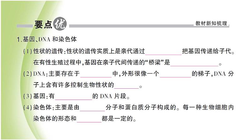 八年级生物下册第七单元生物圈中生命的延续和发展第二章生物的遗传和变异第二节基因在亲子代间的传递作业课件新人教版第2页