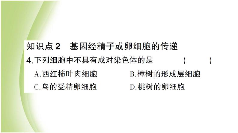 八年级生物下册第七单元生物圈中生命的延续和发展第二章生物的遗传和变异第二节基因在亲子代间的传递作业课件新人教版第7页